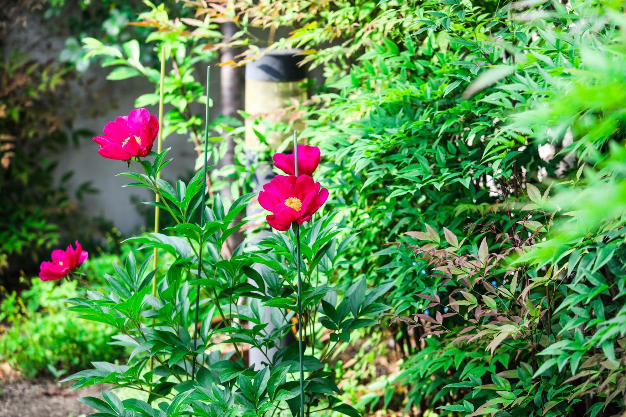 Haengok Guesthouse Jeonju Εξωτερικό φωτογραφία